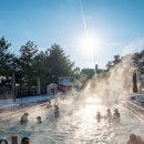 스플라스리솜 이미지