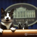 퍼스트통신 이미지