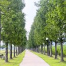 신녕천강변공원 이미지