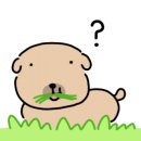 김부자수산