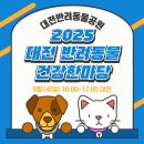 송림전마당 | 2025 대전 반려동물 건강한마당 다녀온 이야기