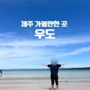 우도 선착장 장애인용 | 제주도 우도 당일치기 여행코스 (성산항 시간표, 요금, 전기차 대여, 여행코스)