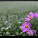 호남주단