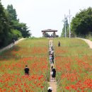 흥부네쉼터 이미지