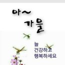 밀양고등학교 이미지