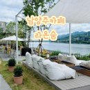 즐겁게 숨쉬는 공간 리버 뷰 남양주 라온숨 감성 테마 플랜테리어 예쁜 식물 카페