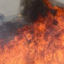 석보면사무소 이미지