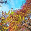 2025년 11월 네번째 가정통신문입니다. 이미지