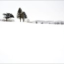 비에이 카카오 검색결과