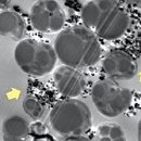 원전슈퍼 이미지