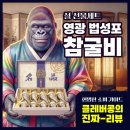 고려영광홍삼 | [설예약가능] 영광 굴비 명절 설날 설 선물세트 법성포 굴비 참굴비
