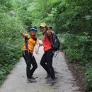 봉봉브라더스 이미지