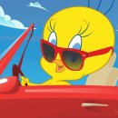 리틀버디 이미지