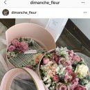 디망쉬플레르 이미지