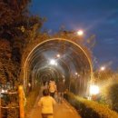 알콩달콩반찬 이미지