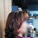 미시헤어 이미지