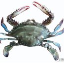 바다세상 이미지