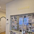 강아지미용실_편안 이미지