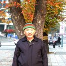 하나로푸드마켓 이미지