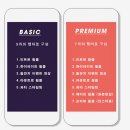 디오그라피