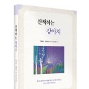 산책하는 강아지 이미지