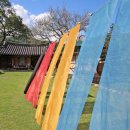 한국천연염색협회(사) 이미지