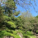 자연의꿈 이미지