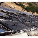 대원태양광발전소 이미지