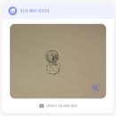 Vision 수정란이식센터 | 시험관 2차 사이클 과정 및 후기 (동결 5일배양 이식)