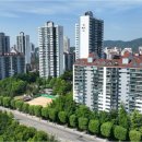 분당-163 이미지