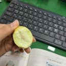 사랑의 노래 | 다시 쓴다