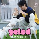 본애견미용실 이미지