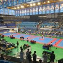 도원태권도체육관 이미지