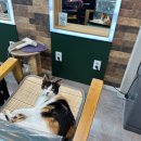 미용실(미용실) 이미지