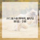 연결한의원 네이버블로그