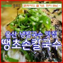 땡초손칼국수 | 울산옥교동-땡초손칼국수 울산 냉칼국수 강력추천 맛집 여름철 별미를 꼭 즐겨보세요:D