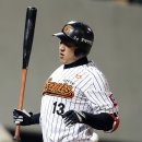 공 때리네 이미지