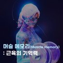 머슬메모리 네이버블로그