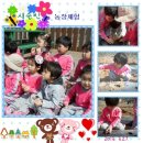 새솔농장 Daum카페