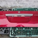 대한의백 이미지