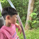 여우피씨 이미지