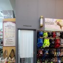 멍냥하숙집 이미지