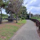 제주팔레스호텔 이미지