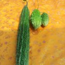 힘차게농장 이미지