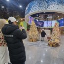 함평엑스포공원 이미지