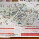 늘푸른숲