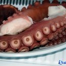 털보리조트