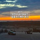 사구어촌체험마을(송지면 사구마을) | 호치민에서 무이네 슬리핑버스 후기 및 지프투어 가격 준비물