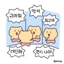 [9급 공무원, 7급 공무원] 민주평화통일자문회의 사무처 전입 후기(1차 서류, 2차 면접)