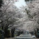 중문동주민센터 이미지